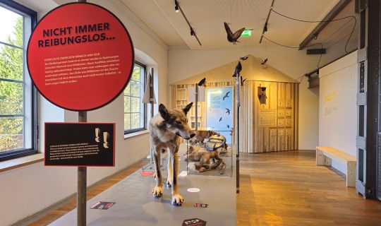 WildnisStadt-10 Â©inatura.jpg