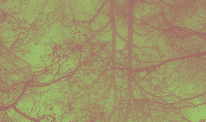 KMS 38 2025_Altmannsberger_KMS_38.png