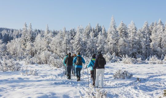 Winterwandern BÃ¶dele