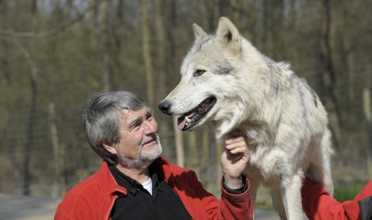 Kurt_Kotrschal_Timberwolf_Chitto@WSC.jpg Kurt_Kotrschal_Timberwolf_Chitto@WSC.jpg