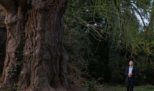 Silent_Friend__Still_klein__(c) Polyfilm.jpg