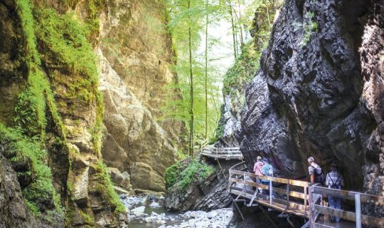 Rappenlochschlucht.jpg
