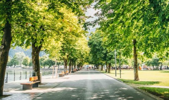 csm_Seeanlagen__Christiane_Setz_-_visitbregenz__9__16-9_c7bd0ef544.jpg csm_Seeanlagen__Christiane_Setz_-_visitbregenz__9__16-9_c7bd0ef544.jpg