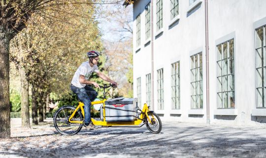 Ralph Hollenstein - Pedalpiraten Ralph Hollenstein - Pedalpiraten