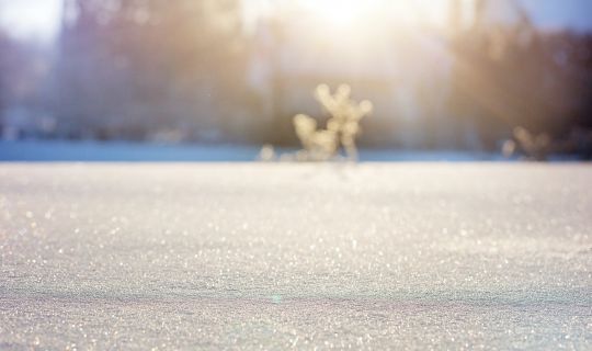 Schnee Schnee