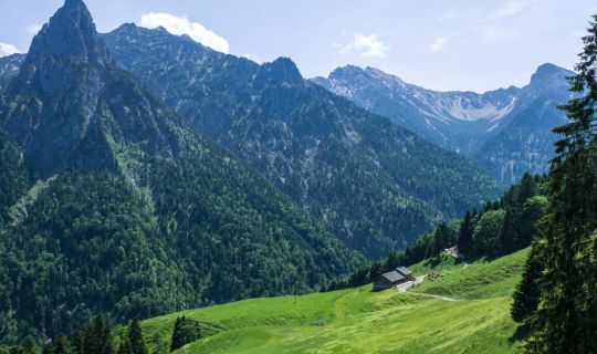 Helmut Düringer Auf dem Weg zur Gaudenzaalpe
