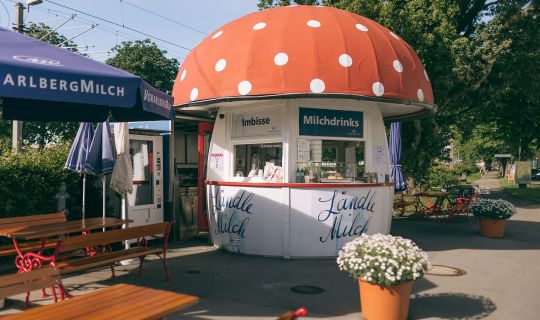 Milchpilz Bregenz Milchpilz Bregenz