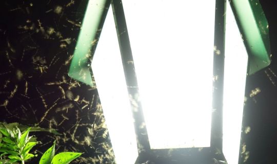 Lichtverschmutzung ©Suchy.jpg Lichtverschmutzung ©Suchy.jpg