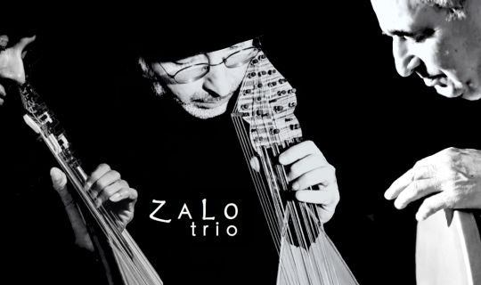 Salingari Quartett (c) Zalo_Trio.Logo (c) ZALO_TRIO.LOGO.jpg