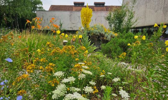 Kräutergarten 4 ©inatura.jpg Kräutergarten 4 ©inatura.jpg