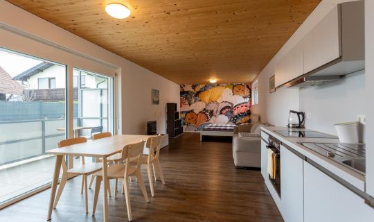 FLEXhome your central, calm and cosy place in Dornbirn FLEXhome your central, calm and cosy place in Dornbirn