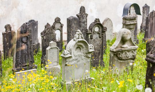 Jued_Friedhof_CRwalser_455_web.jpg Jued_Friedhof_CRwalser_455_web.jpg