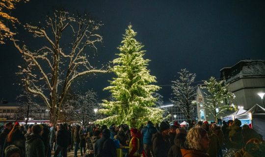 Einschaltfeier & Zauberwald Einschaltfeier & Zauberwald