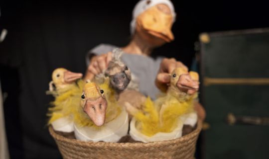 2026_saumarkt_schwanen_Foto_Mareycke_Frehner.jpg 2026_saumarkt_schwanen_Foto_Mareycke_Frehner.jpg