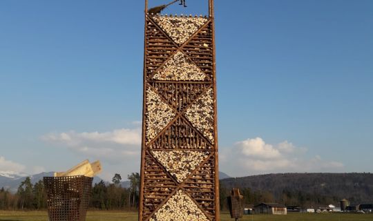 2026_Nofler Funken.jpg 2026_Nofler Funken.jpg