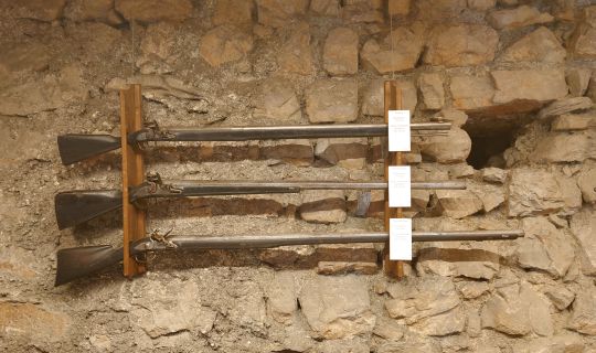 Themenfuehrung Schattenburgmuseum Themenfuehrung_Von_Spiessen__Hellebarden_und_Schiesspruegeln_Schattenburgmuseum__c__Michaela_doppelbauer_DSC_0243.JPG