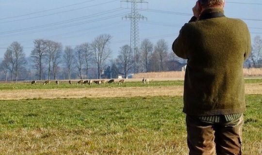 Das Foto zeigt einen Jäger der mit dem Fernglas eine Gruppe Rehe betrachtet. Das Foto zeigt einen Jäger der mit dem Fernglas eine Gruppe Rehe betrachtet.