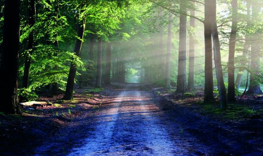 Waldbaden.jpg Waldbaden.jpg