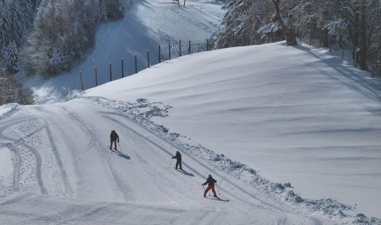 Pfänder Skifahren Pfänder Skifahren