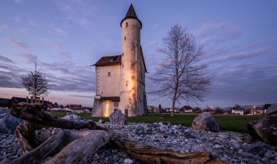 Friedrich Böhringer - commons.wikimedia.org Mittelweiherburg Hard