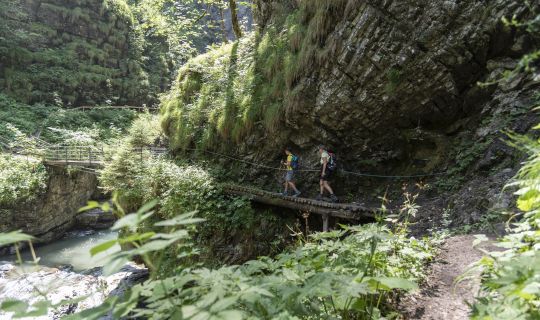 Weg durch die Ãble Schlucht Weg durch die Ãble Schlucht