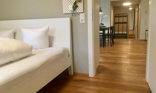 Wohnung in zentraler Lage im Rheintal