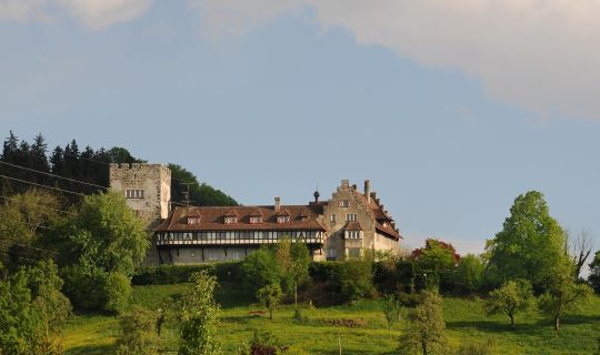 Friedrich Böhringer Schloss Wolfurt