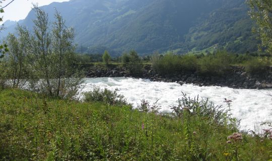 Stadtmarketing & Tourismus Feldkirch GmbH Ill