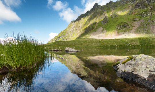 Andreas Haller Herzsee