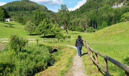 Weg zum Wasserhaus St. Arbogast Weg zum Wasserhaus St. Arbogast