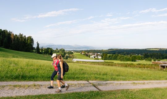 Wanderung mit Blick auf den Bodensee Wanderung mit Blick auf den Bodensee