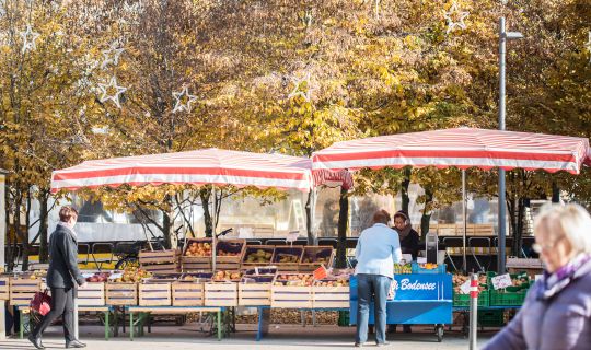 _T1A7509.jpg _T1A7509.jpg