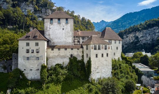 Schattenburgmuseum Feldkirch Schattenburgmuseum-Feldkirch(c)Gerhard-Beer_Schattenburg-Museum.jpg