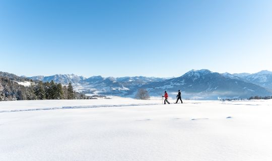 (c)Gabi Metzler Photography (1).jpg