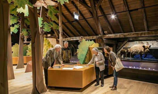 Demenzführung_Bild Ki bearbeitet.jpg Demenzführung_Bild Ki bearbeitet.jpg