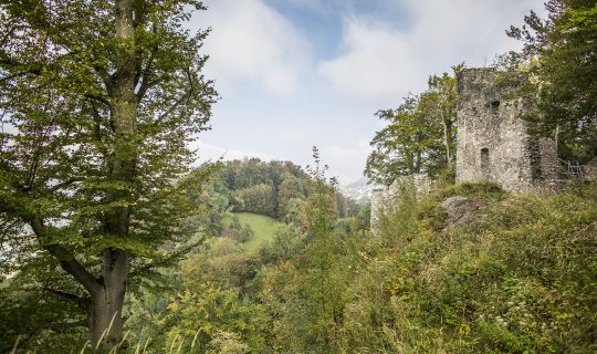 Ruine Alt-Ems Ruine Alt-Ems