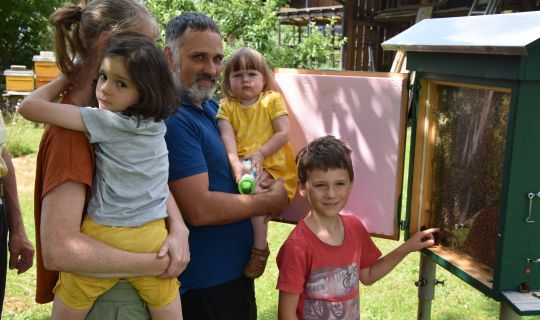 Am Bienenschaukasten