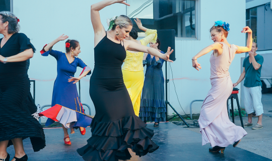 3_Fiesta Flamenca_Foto Jaleo Flamencoverein.png 3_Fiesta Flamenca_Foto Jaleo Flamencoverein.png