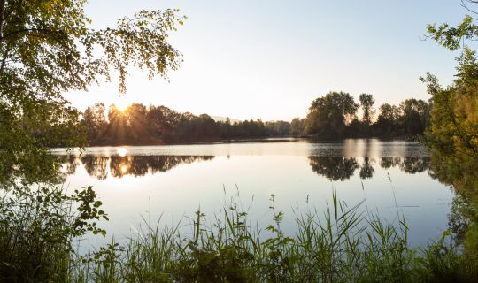 Sonnenuntergang Alter Rhein Hohenems Sonnenuntergang Alter Rhein Hohenems