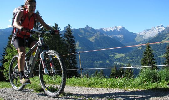 Mountainbike Mountainbike