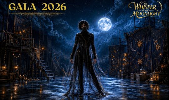 Whisper in the Moonlight Gala.jpeg