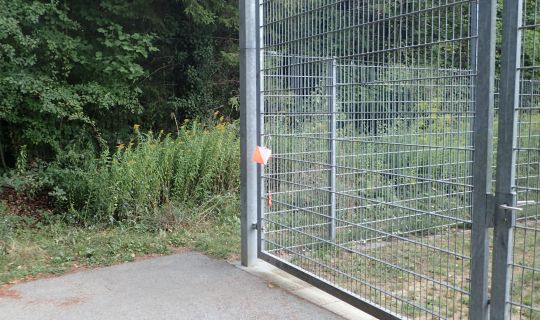 Orientierungslauf richardwerner09.JPG