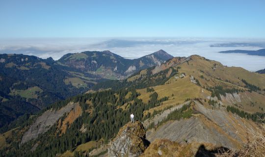 Hoher Freschen