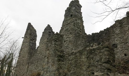 Palas mit Aufgang Palas mit Aufgang