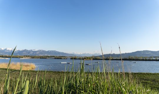 Lagunenrundweg FuÃach Vögel Nistplätze Lagunenrundweg FuÃach Vögel Nistplätze