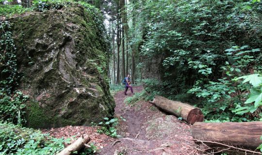 Talwanderung vom Pfänder Talwanderung vom Pfänder
