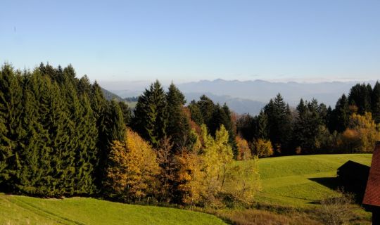 Peter Freiberger Herbststimmung am Pfänder â im Hintergrund Gipfel im Bregenzerwald.