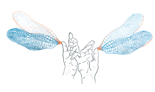 Kuratorenführungen, Wo wir uns begegnen 2025_03_01_Palais_Wo wir uns begegnen Kuratorenführung.png