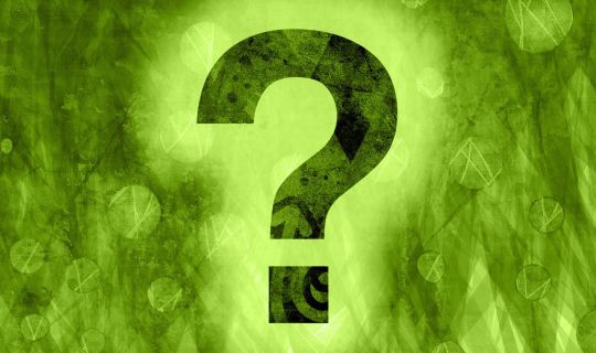 PupQuiz- Pixabay.jpg PupQuiz- Pixabay.jpg