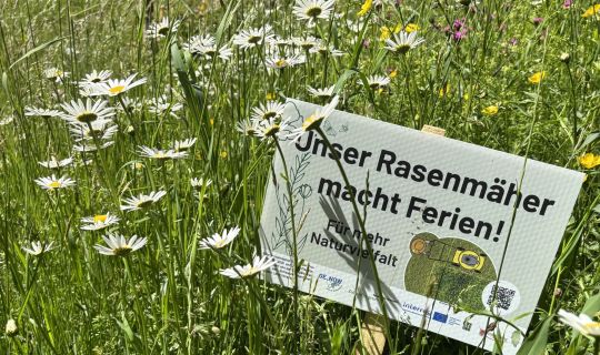 Ferien für den Rasenmäher Ferien für den Rasenmäher